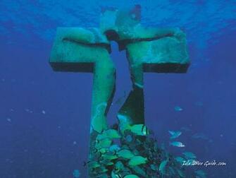 Scuba Diving Screen Savers
