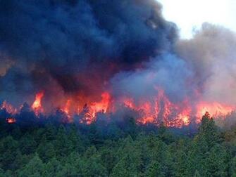 Wallpaper Photo For The Wildland Firefighter