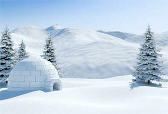 Amazon Ofila Winter Igloo Backdrop Wonderland