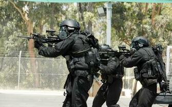 Back Gallery For Swat