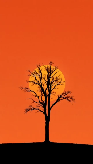 Negative Space Wallpaper