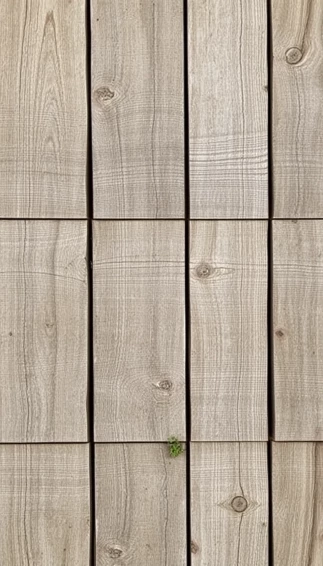 Barn Siding Wallpaper