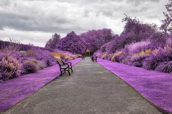 Belfast Botanic Gardens In Northern Ireland Wallpaper HD City 4k