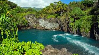 Wallpaper Forests Sea And Beaches