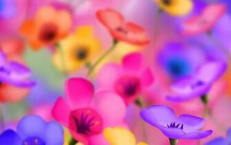 Beauti FlowersHD Wallpaper 3d Flowers HD