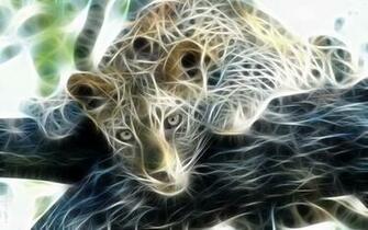 Wallpaper HD Desktop Online Animal Digital Art
