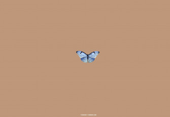 Brown Aesthetic Wallpaper For Laptop Blue Butterfly