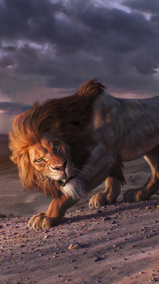 HD Wallpaper Of Lion King