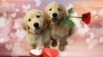 Puppy Valentine Wallpaper
