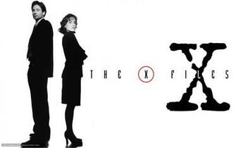 Wallpaper The X Files Series Fox Mulder Desktop