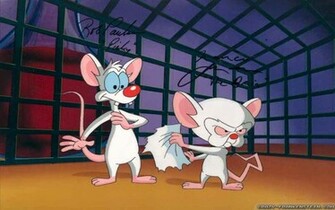 Pinky And The Brain Wallpaper Crazy Frankenstein