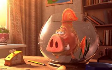 Funny Fish Pictures