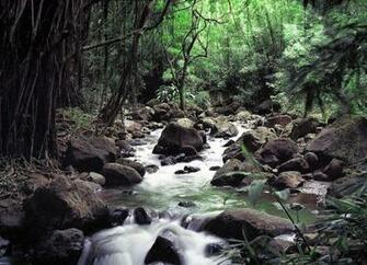 Peace Of Mind Beautiful Nature Wallpaper Pictures