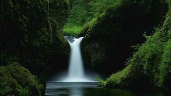 Discover In The Forest Stillwater Waterfall Image