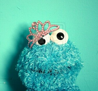 Cute Cookie Monster Wallpaper Princess By