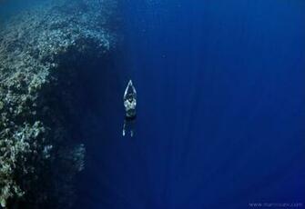 Image Gallery For Diving Wallpaper