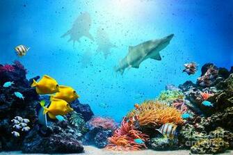 Underwater Scene By Michal Bednarek