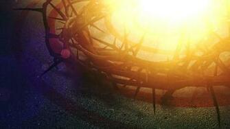 Pics For Crown Of Thorns Background