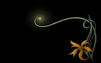Beautiful Black Flower Wallpaper