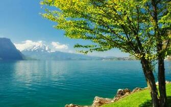 Im Genes De La Naturaleza Para Fondo Pantalla En HD