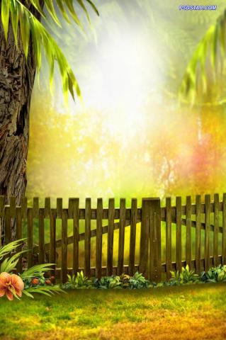 HD Nature Background For Photoshop Line 17qq