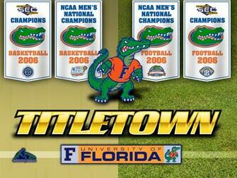 Gator Wallpaper Florida