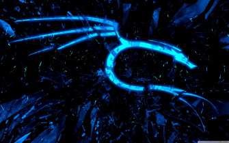 Kali Linux Wallpaper