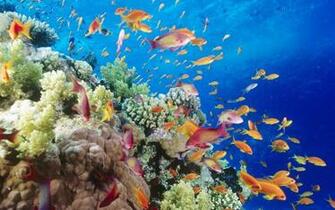 Ocean Wallpaper Most Beautiful Places In