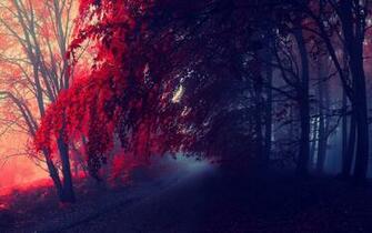 Red Autumn Desktop Pc And Mac Wallpaper