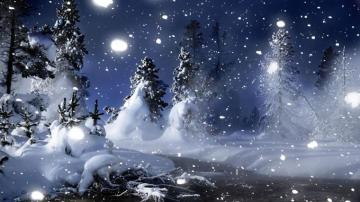 Winter Night In Park 3d Landscape For