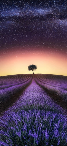 Summer Solstice iPhone Wallpaper