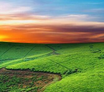 Htc One X Wallpaper Background