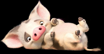 Pua Transparent Lil Bit Difficult Getting The Background