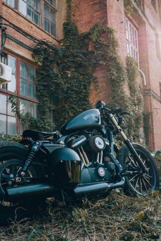 Harley Davidson Sportster Iron Custom Rider Helmet