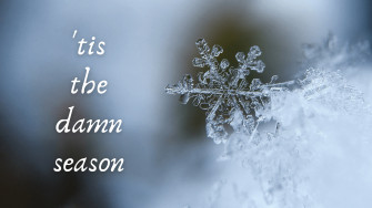 Tis The Damn Season December Swift Wallpaper Postcard