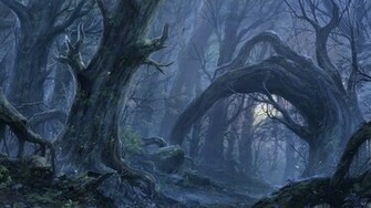 Creepy Woods Wallpaper