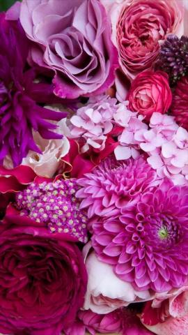 Ideas For Floral Background To Decorate Your Screen With
