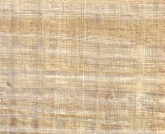 Papyrus By Modulis Textures