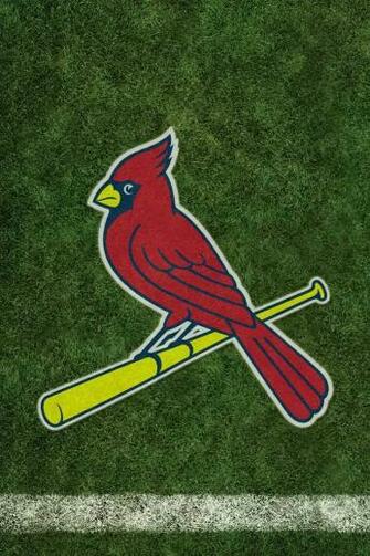 St Louis Cardinals Wallpaper For Asus Google Nexus