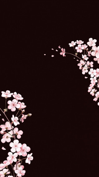 Floral iPhone Wallpaper High Resolution Flower Mobile