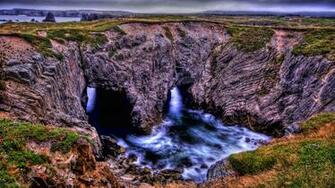 Newfoundland Wallpaper W87b3d2 Wallpaperexpert