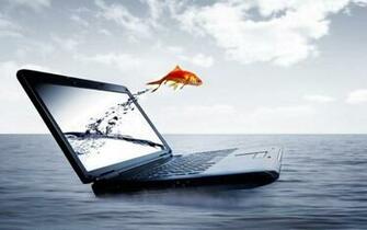 Alfa Img Showing Orvis Fly Fishing Desktop Wallpaper