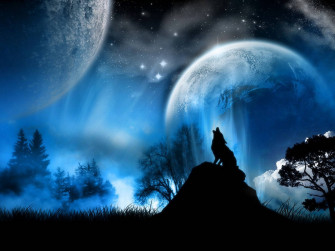 Cool Black Wolf Wallpaper