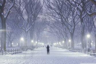 Central Park New York City Winter Background 4k HD Desktop