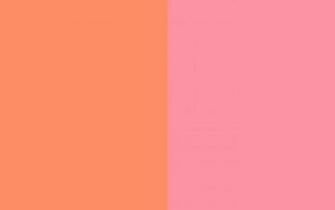 Resolution Salmon And Pink Solid Two Color Background