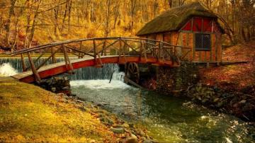 Cottage In The Woods Wallpaper For