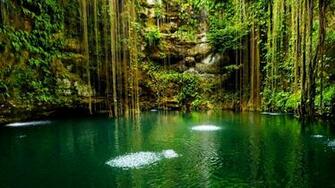 Nice Nature Desktop Background