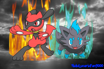 God Riolu And Zorua Wallpaper By Riolulucariofan9000