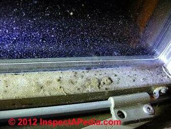 Mold On Vinyl Windows In Wall Cavities Wallpaper