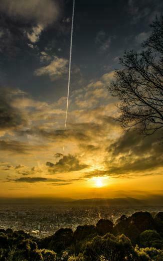 Bottom Of Bare Tree Under Cloudy Sunset HD Wallpaper